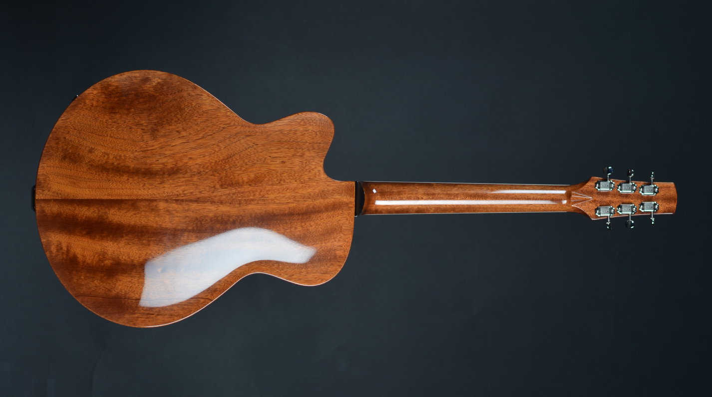 back view of guitar 20