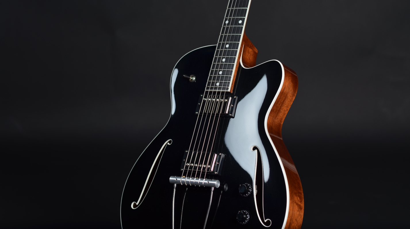 bridge, pickup and lacquer detail of guitar 20