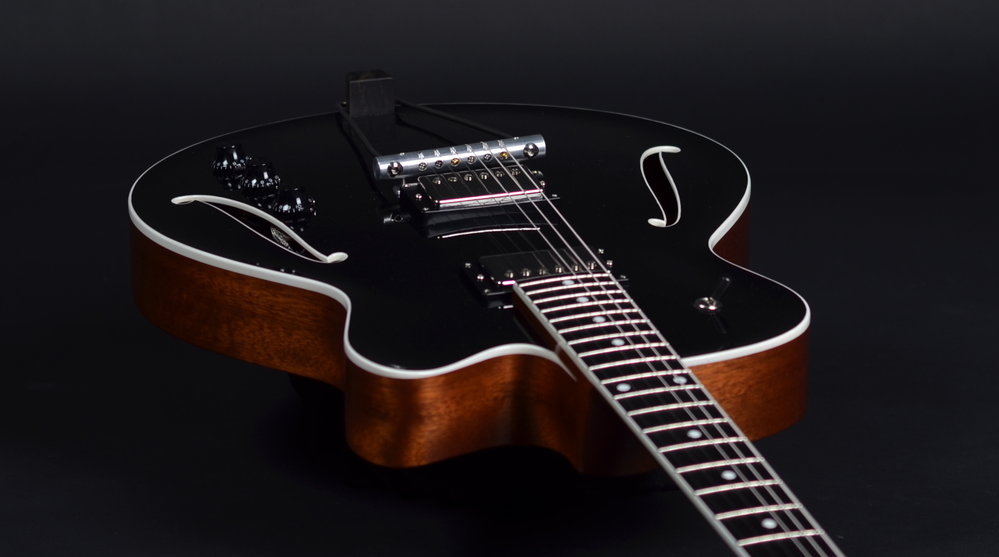 fretboard, pickup and bridge detail of guitar 20