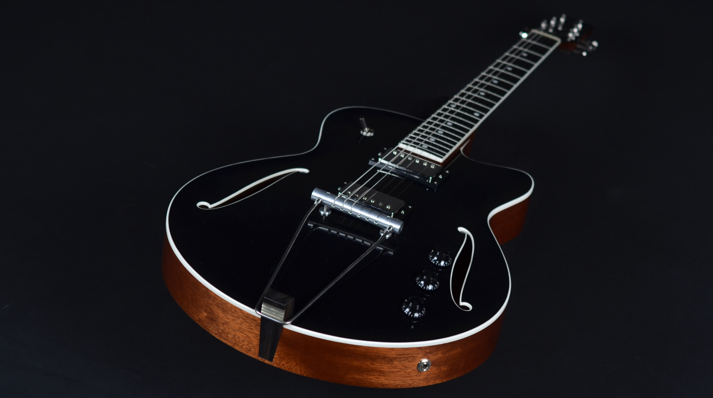 tailpiece and knob detail of guitar 20