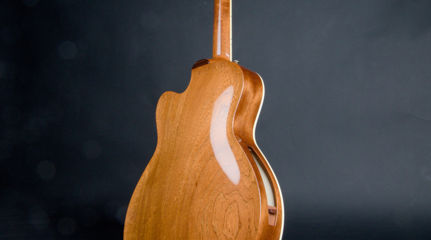 back, sides and door detail of guitar 21